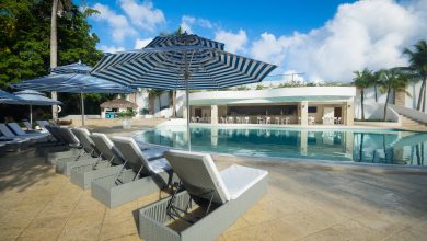 Photo of Hotel Viva Wyndham V Heavens de Playa Dorada reinicia servicios