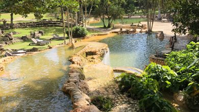 Photo of Paraíso Caño Hondo, un hotel ecológico en dominicana que debes conocer