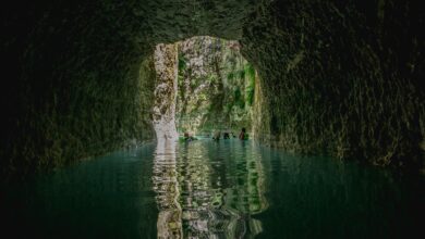 Photo of Sacred River redefine el turismo de aventura en Punta Cana