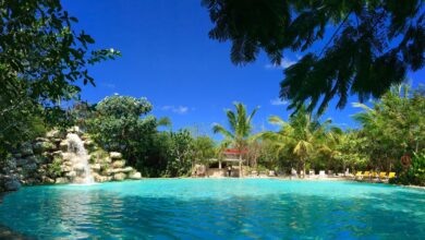 Photo of La naturaleza como escenario: el auge de las celebraciones entre cenotes y estrellas