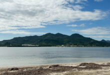Photo of Playa Teco: El Corazón del Sabor y la Alegría en Maimón