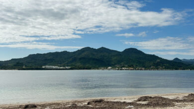Photo of Playa Teco: El Corazón del Sabor y la Alegría en Maimón